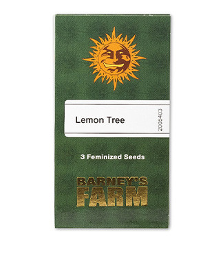 Lemon Tree fem (Barney's Farm)