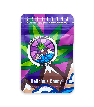 Delicious Candy fem (Delicious Seeds)