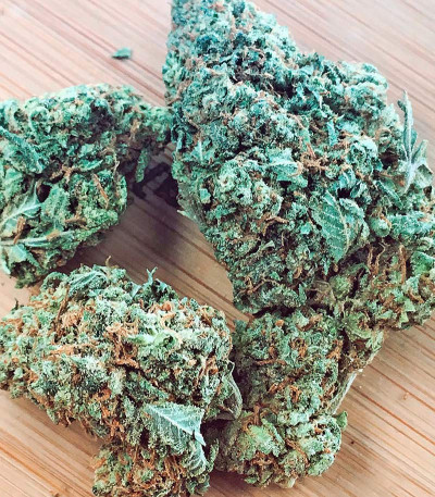 Семена сорта Mataro Blue fem