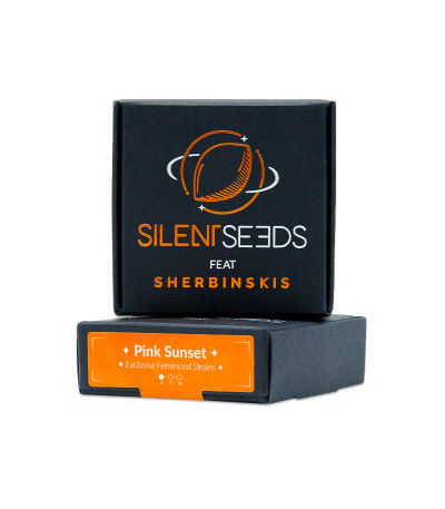 Семена сорта Pink Sunset by Sherbinskis fem от Silent Seeds
