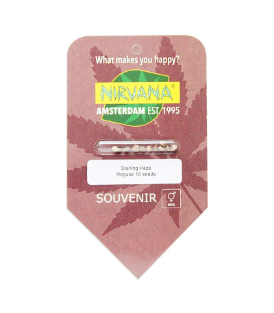 Семена сорта Sterling Haze (Super Silver Haze) reg (Nirvana Seeds)