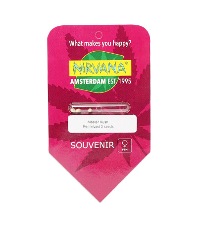 Семена сорта Master Kush fem (Nirvana Seeds)