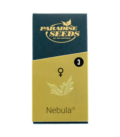 Семена сорта Nebula fem (Paradise Seeds)