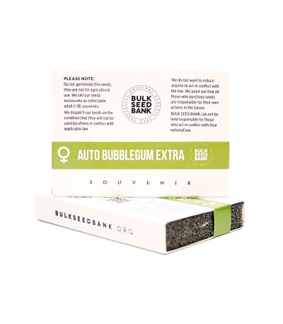 Семена сорта Auto Bubblegum Extra fem