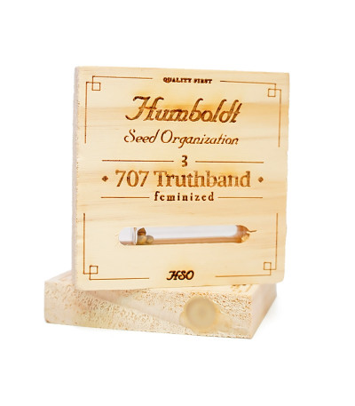 Семена сорта 707 Truthband by Emerald Mountain fem
