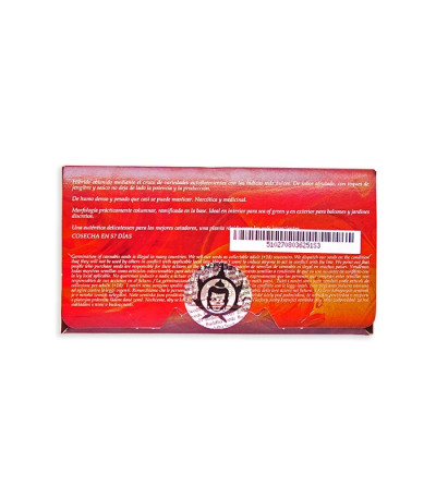 Семена сорта Buddha Syrup auto fem