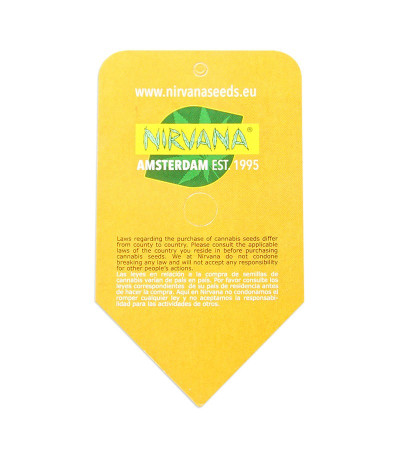 Семена сорта White Widow Automatic fem (Nirvana Seeds)