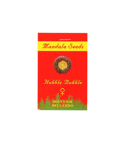 Семена сорта Hubble Bubble fem