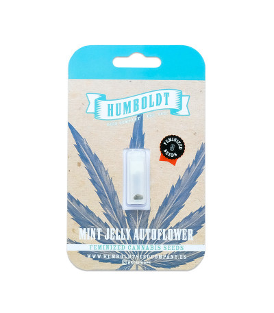 Семена сорта Mint Jelly Auto fem от Humboldt Seed Company