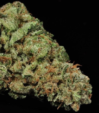 Семена сорта White Widow fem (Green House Seeds)