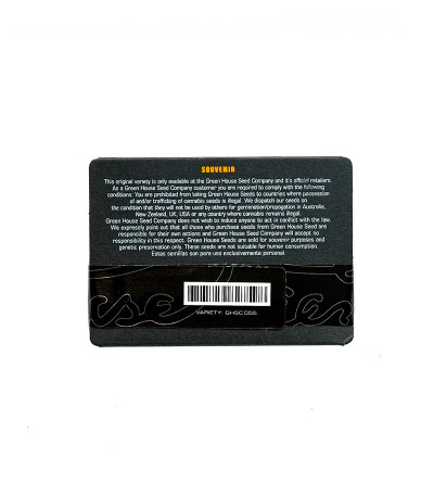 Семена сорта Mango Haze fem