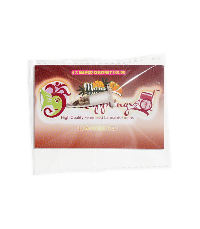 Семена сорта Mango Chutney fem (Dr. Krippling Seeds)