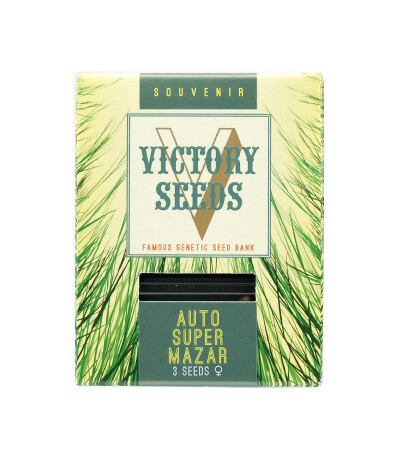 Семена сорта Auto Super Mazar fem (Victory Seeds)