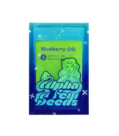 Семена сорта Blueberry OG fem (AlphaFem Seeds)