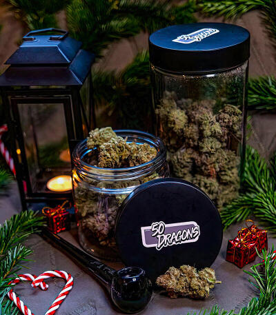 Семена сорта 50 Dragons fem (UKHTA)