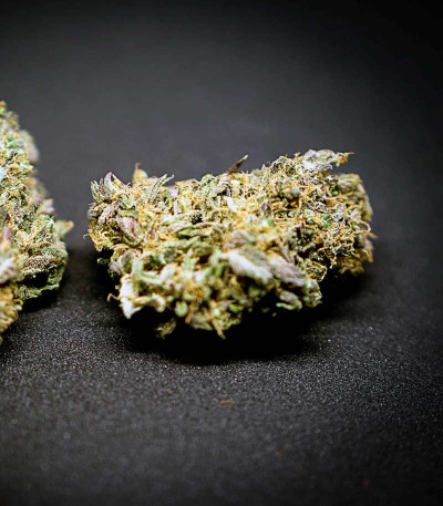 Семена сорта Lemon Zkittle fem (Dutch Passion)