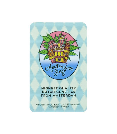 Семена конопли сорта AK-47