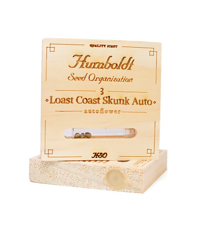 Семена сорта Lost Coast Skunk Auto fem (Humboldt Seeds)