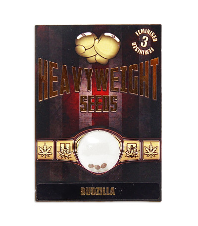 Семена сорта Budzilla fem (Heavyweight Seeds)