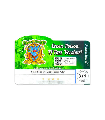 Семена сорта Green Poison F1 Fast Version fem (Sweet Seeds)