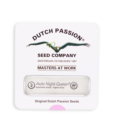 Семена сорта Auto Night Queen fem (Dutch Passion)