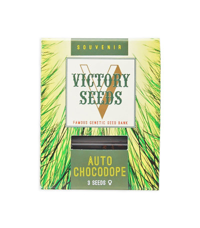 Семена сорта Auto Chocodope fem (Victory Seeds)