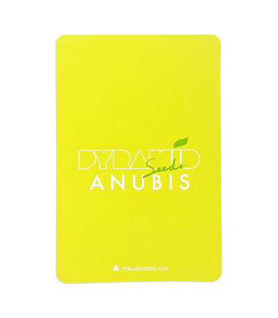 Семена сорта Anubis fem (Pyramid Seeds)