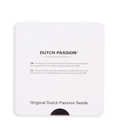 Семена сорта Hollands Hope reg (Dutch Passion)