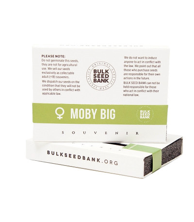 Семена сорта Moby Big fem