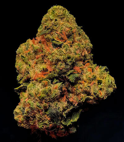 Семена сорта Louis XIII fem (7CH American)