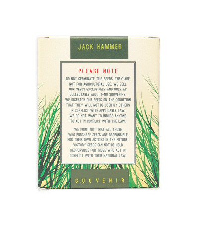 Семена сорта Jack Hammer fem (Victory Seeds)