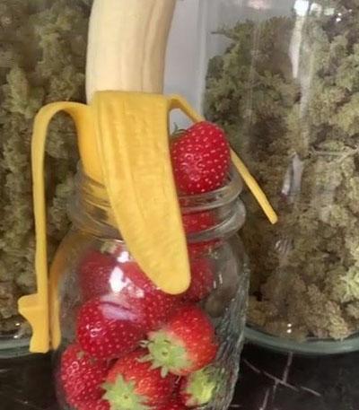 Семена сорта Strawberry Banana Auto fem (FastBuds)