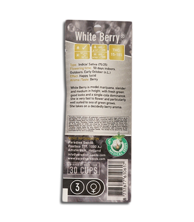 Семена сорта White Berry fem (Paradise Seeds)