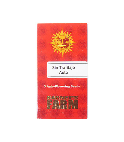 Семена сорта Sin Tra Bajo Auto fem