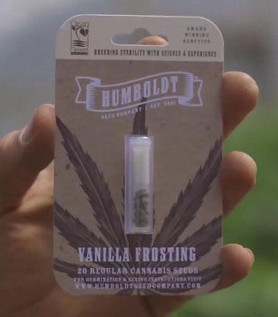 Семена сорта Vanilla Frosting fem (Humboldt Seed Company)