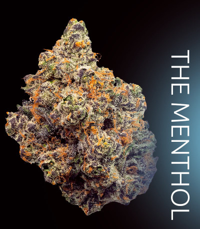 Семена сорта Frosted Fujis fem (Compound Genetics)