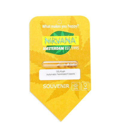 Семена сорта OG Kush Automatic fem (Nirvana Seeds)