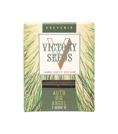 Семена сорта Auto Big Angel fem (Victory Seeds)