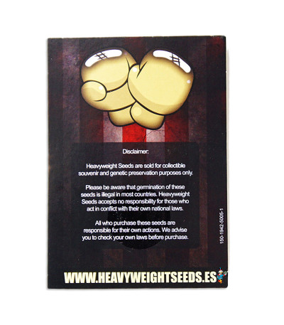 Семена сорта Money Bush fem (Heavyweight Seeds)