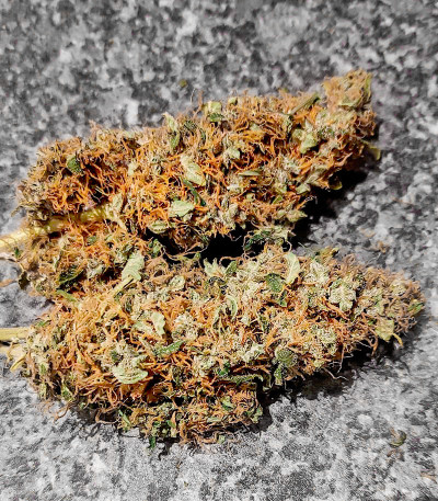 Семена сорта White Widow Auto fem (Семяныч)