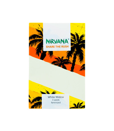 Семена сорта White Widow fem (Nirvana Seeds)