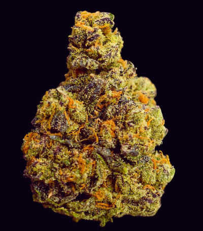 Семена сорта Gorilla Melon fem (FastBuds)