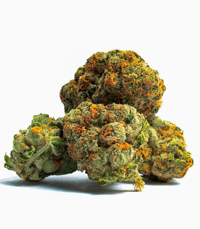 Семена сорта Mandarin Cookies fem (7CH American)