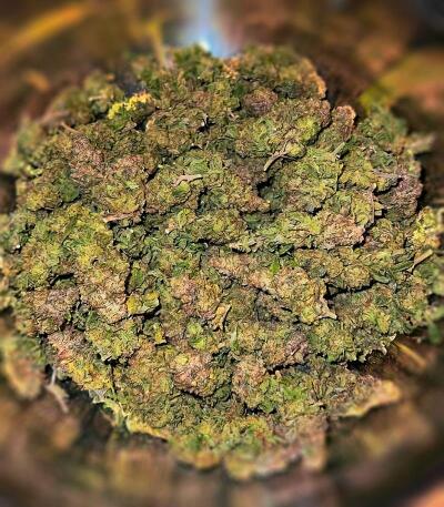 Семена сорта Mandarin Cookies R3 fem (Ethos Genetics)