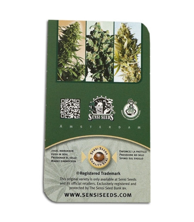 Семена сорта Silver Haze reg (Sensi Seeds)