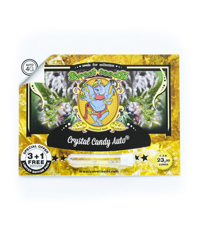 Семена сорта Crystal Candy Auto fem (Sweet Seeds)