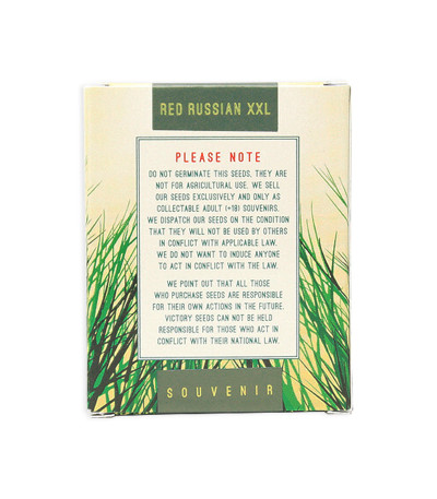 Семена сорта Red Russian XXL fem (Victory Seeds)
