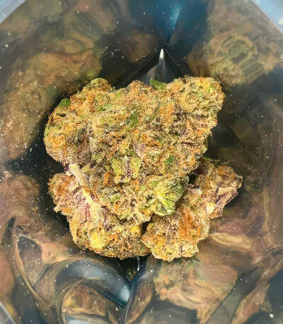 Семена сорта Mellowz fem