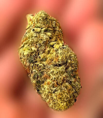 Семена сорта Señor Piña v.2 fem (UKHTA)