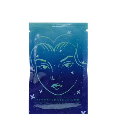 Семена сорта Critical Amnesia fem (AlphaFem Seeds)